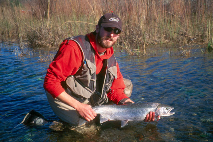 A steelhead from the American River in Sacramento
