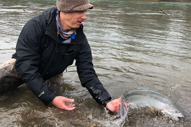 Guide Andrew Harris releasing a winter steelhead