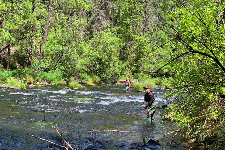 Two anglers fly fishing on Burney Creek