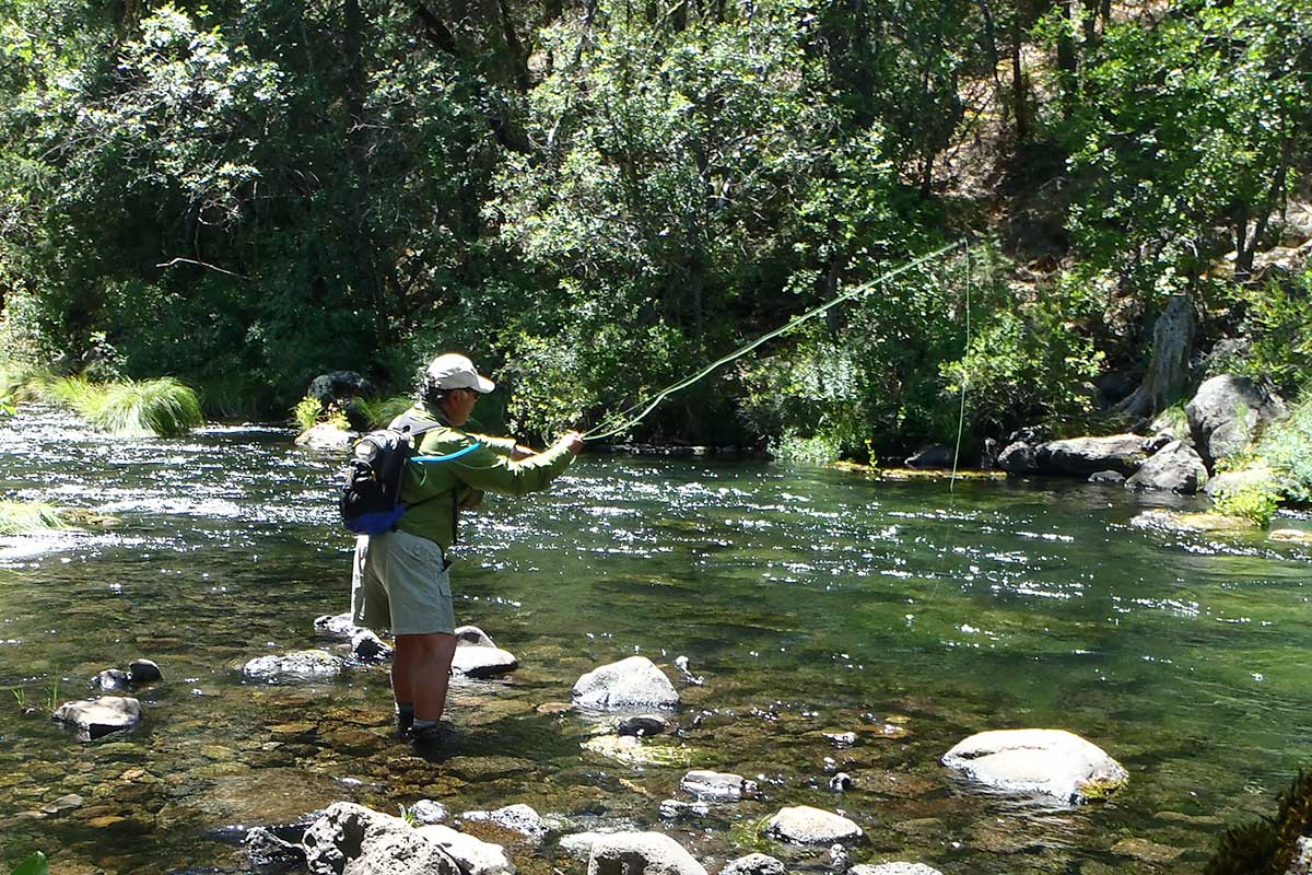 Guided Fly Fishing trips on Burney Creek in Northern California