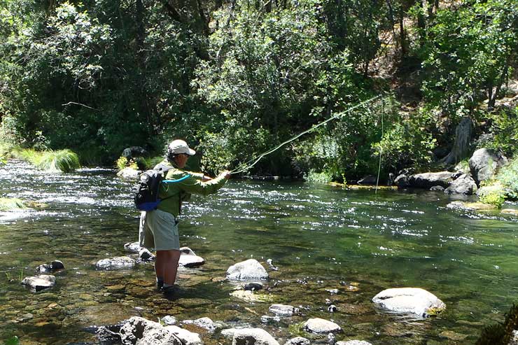 Wet-wading on Burney Creek