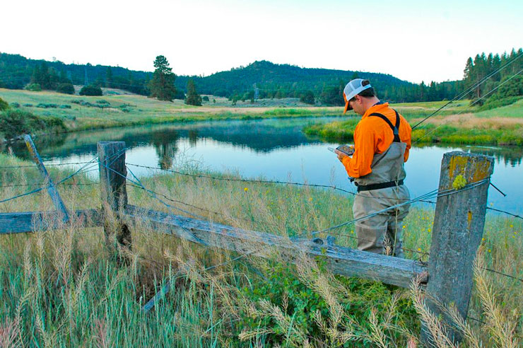 Guide Dax Messett looks for the perfect fly on Hat Creek