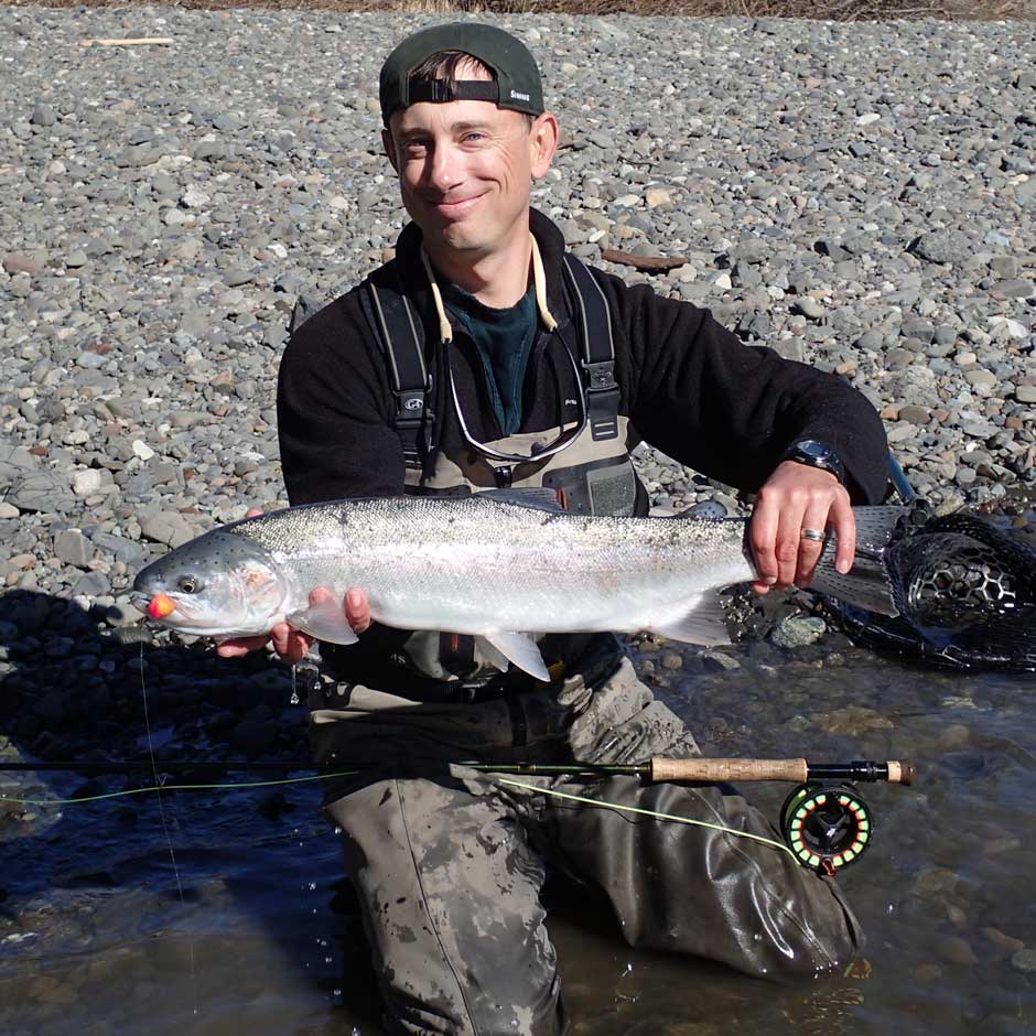 Coastal steelhead love egg patterns!