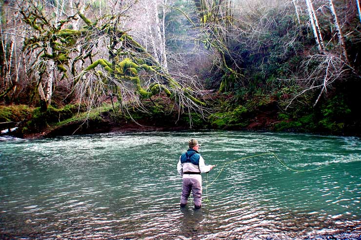 An angler fishing a smaller coastal steelhead stream.