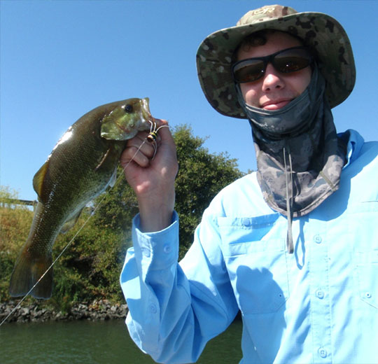 Delta Bass are very beginner-friendly for new fly fishers