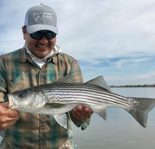 Fly Fishing for Stripers on the California Delta