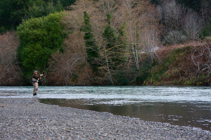 Fishing on a coastal steelhead river