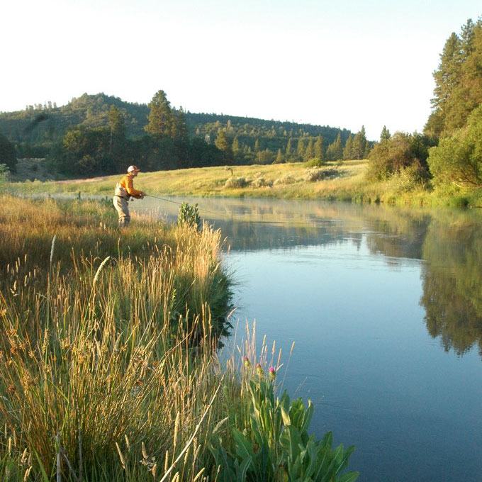 An angler casts to fussy spring creek trout on Hat Creek