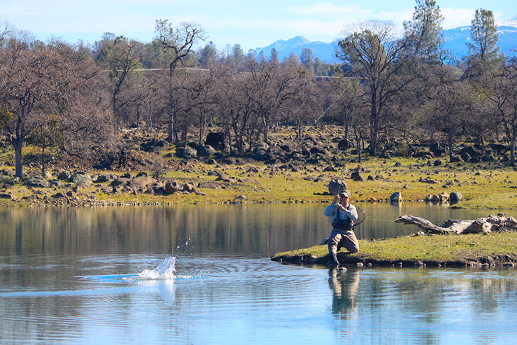 An angler battles a huge fish from the island on the big pond.