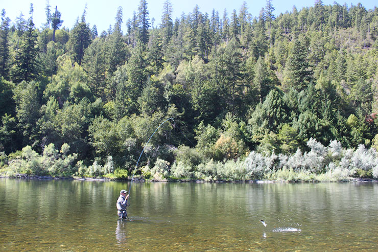 An angler plays a feisty Klamath River halfpounder