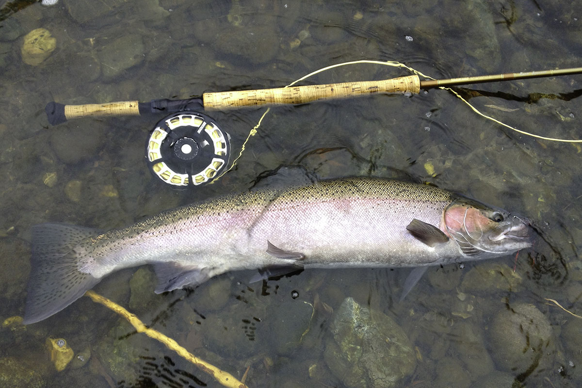 Klamath River Guide Trips