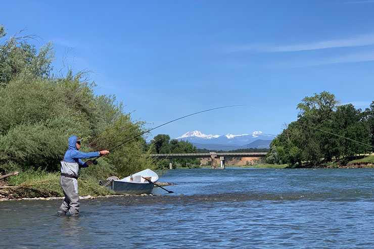 Swinging flies with Mt Lassen in the background