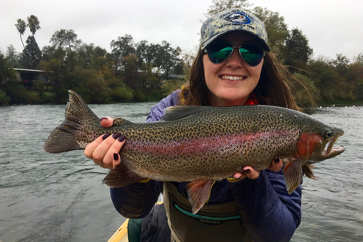 Lower Sac Guided Fly Fishing Trips in Redding