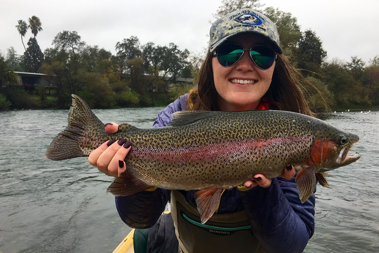 A very large trout on the Lower Sac