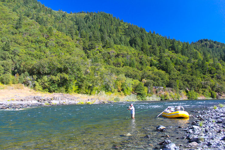 A classic steelhead run near Willow Creek