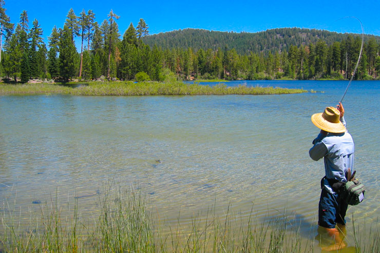 A wading angler landing a Manzanita Lake rainbow