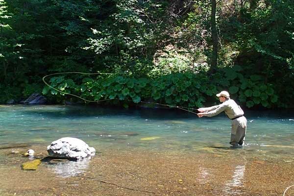 A nice cast with a dry fly on the McCloud River