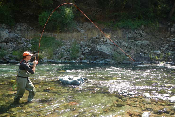 An angler lands a fish on the Lower McCloud