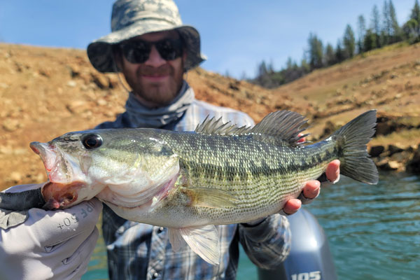 Lake Oroville is loaded with spotted bass
