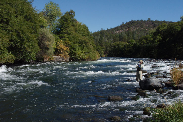 An angler hooked up in a fast-flowing section of the Pit River