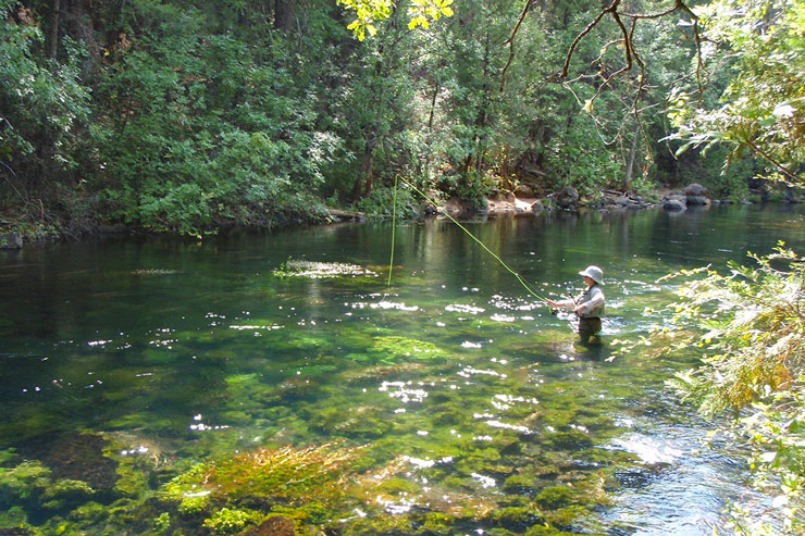 The crystal-clear water of Burney Creek