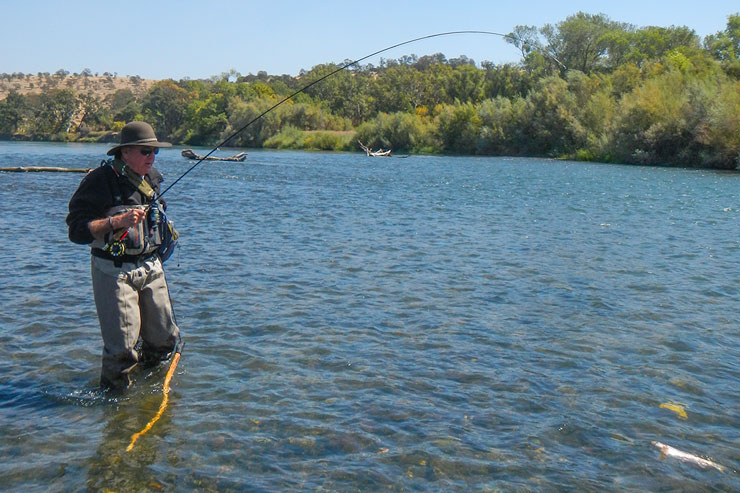 Wade fishing can be very productive on the Lower Sac