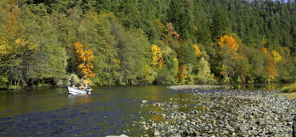 Weaverville and Lewiston are home to the Trinity River, a great steelhead fishery.