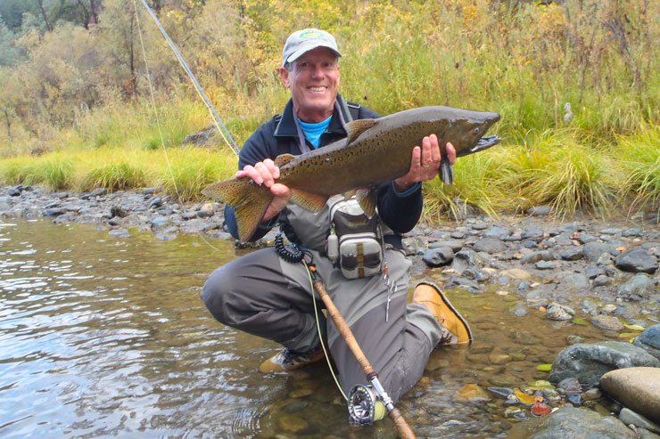 An angler with a chinook salmon on the Trinity River