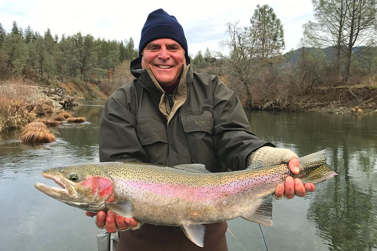 A large steelhead from the Trinity River