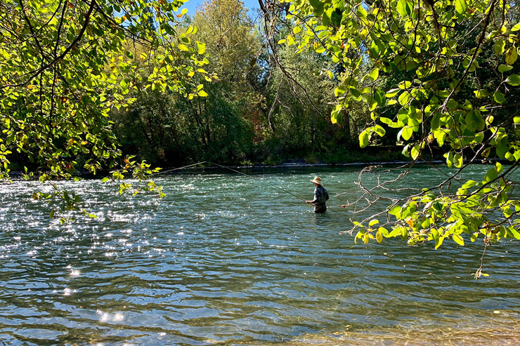 An idyllic swing un on the Upper Rogue