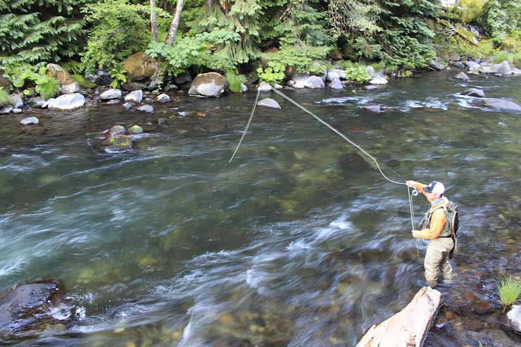 High-sticking a run on the Upper Sac