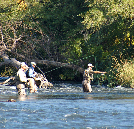 A guide wade fishing with two guests on a learn to fly fish trip