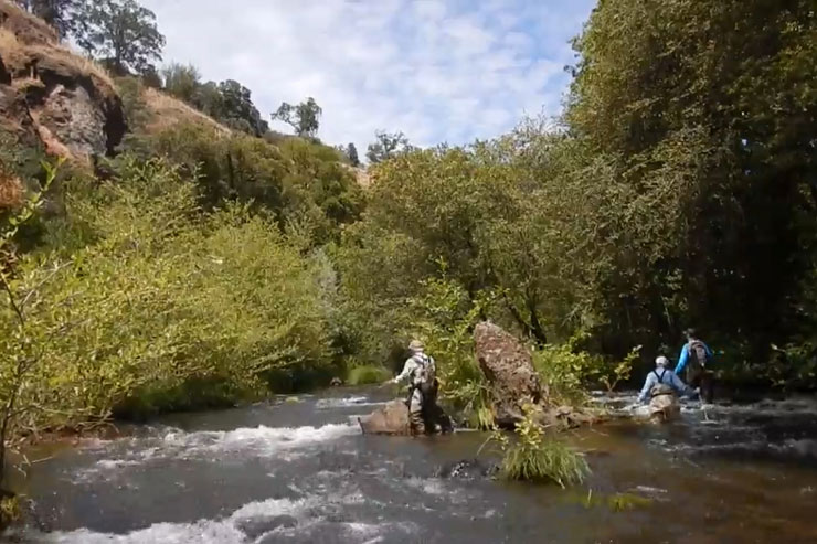 Learn How to Fly Fish with a Patient Guide Instructor