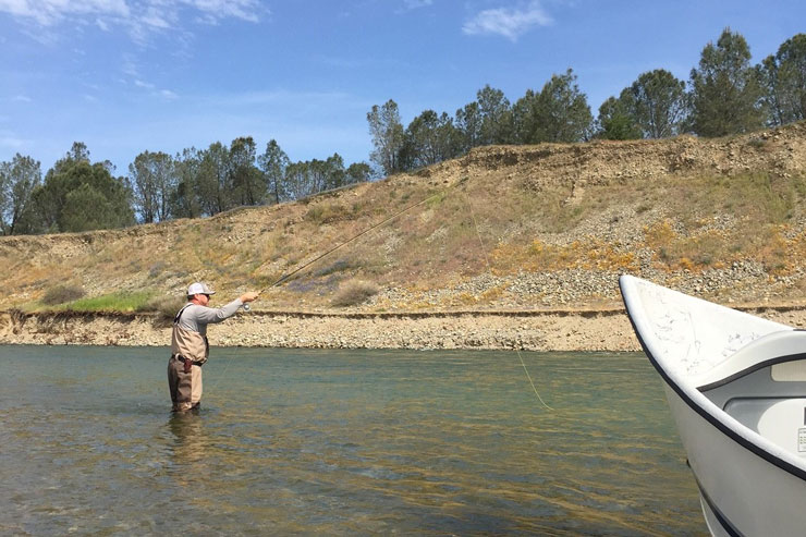 Wading can be very productive on the Lower Yuba